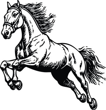 horse vector illustration