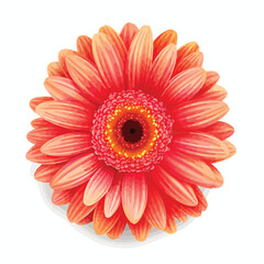 Professional Gerbera Flower Vector Illustration with Natural Shadow for Graphic Design Projects