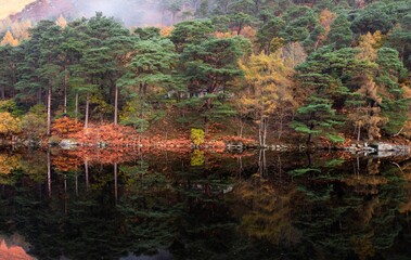 Autumn foliage reflecting on tranquil lake surrounded by lush coniferous trees in Ireland