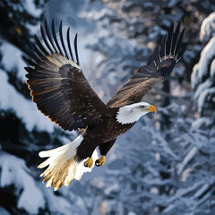 Obraz premium drawing a black head eagle on white background