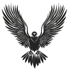 Fototapeta premium drawing a black head eagle on white background