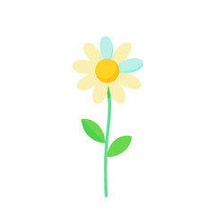 Flat Daisy Flower with Stem &ndash; Minimal Style