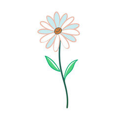 Flat Daisy Flower with Stem &ndash; Minimal Style