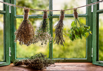 Dried herbs hanging on jute string above rustic wood on windowsill in green garden