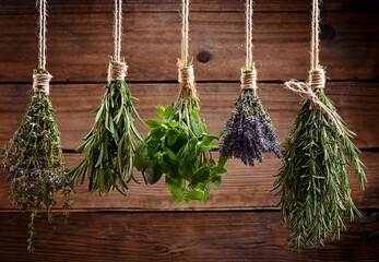 Dried Herbs Hanging on Jute String Above Rustic Wood