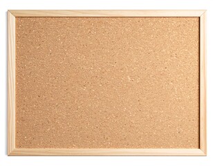 Blank cork board
