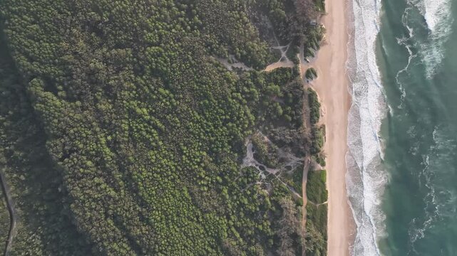 Florianopolis in Santa Catarina during a wonderful sunrise. Mo&ccedil;ambique Beach in aerial view.