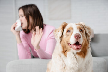 Dog and young sneezing woman at home. Fur allergy