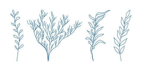 Marine elements doodle style set in blue la dolce vita. Italian style. Undersea world. Menu design of postcard and poster. Vector illustration.