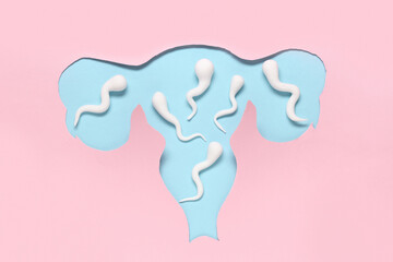 Shape of female uterus and sperm cells on color background
