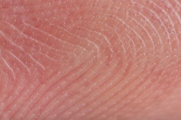 Macro view of human fingertip