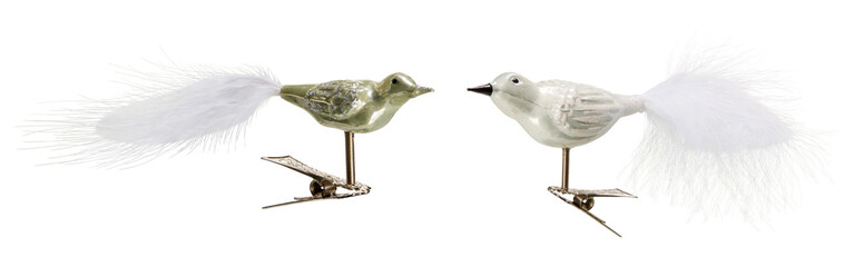 A fluffy bird decorates a Christmas tree cut out isolated transparent background