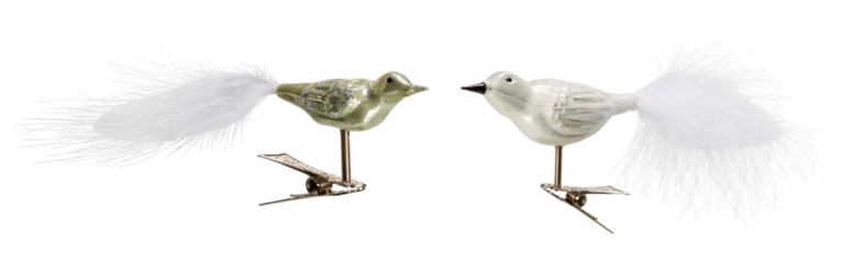 A fluffy bird decorates a Christmas tree cut out isolated transparent background