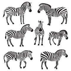 zebra silhouette set, Black & White silhouette set