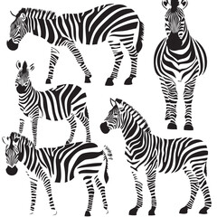 zebra silhouette set, Black & White silhouette set