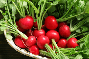 Basket of ripe radish, closeup