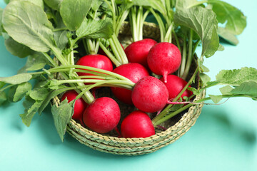 Wicker bowl with ripe radish on turquoise background