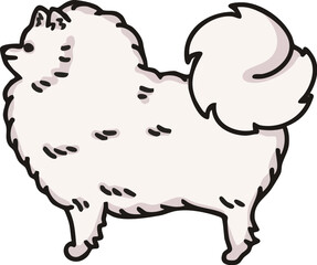横から見た可愛いポメラニアン(ホワイト)のイラスト
