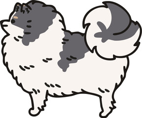 横から見た可愛いポメラニアン(パーティーカラー)のイラスト