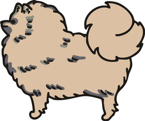 横から見た可愛いポメラニアン(ウルフセーブル)のイラスト