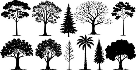 Obraz premium Diverse Tree Silhouette Set, Vector Illustration of Deciduous, Tropical, and Conifer Trees