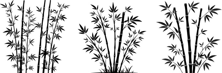 Elegant Bamboo Silhouette Vector Collection, Black Asian Botanical Illustrations for Zen and Nature-Inspired Designs