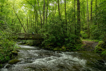 Woman Crosses Bridge While The Water of Noland Creek Rushes Below