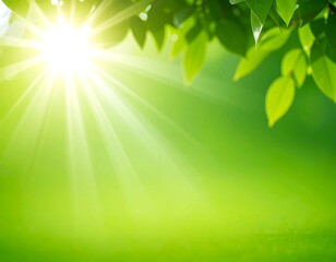 Obraz premium Sunbeams through leaves