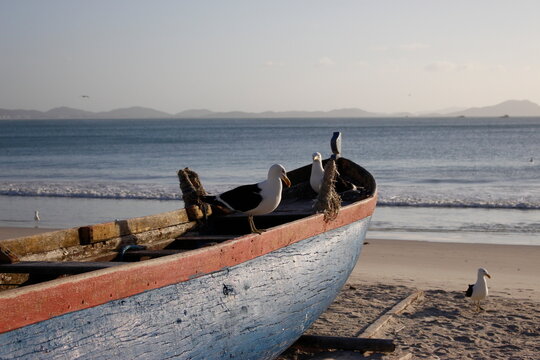 Pequeno barco de pesca r&uacute;stico, da cor do mar, com gaivotas pousadas, parado na areia junto ao mar calmo.
