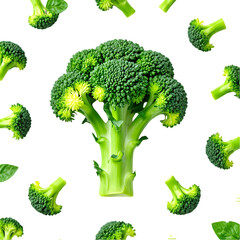 Single Broccoli Head on Clean White Background