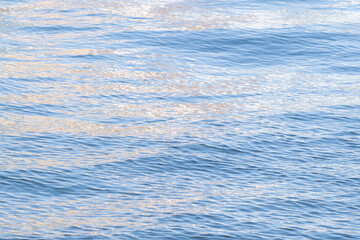 Fototapeta premium 隅田川の水面