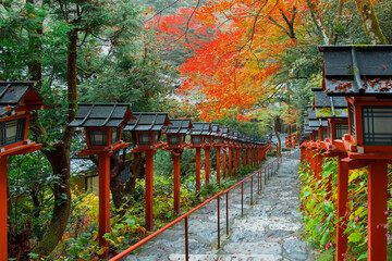 Kifune Shrine in Kyoto, Japan with beautiful autumn scenery