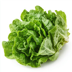 Lettuce leaves isolated on white background