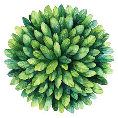 Watercolor Illustration of a Lush Green Bush Featuring Numerous Leafy Elements Depicted in Vibrant Shades of Green on White Background