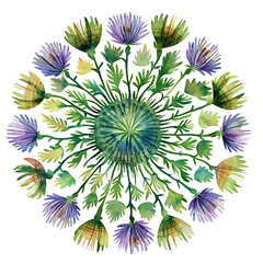 Watercolor Mandala Illustration Featuring Floral Elements in Vibrant Hues on White Background