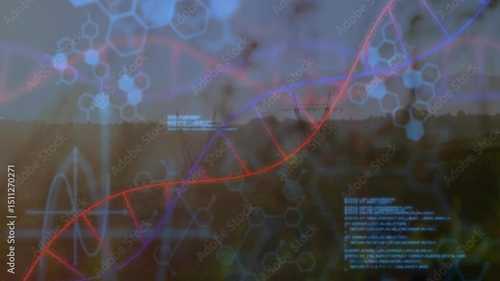 Poster grassland dusk opening, code fading scrolling, red blue lines curving helix and network pulsing