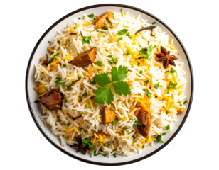  traditional Pakistani biryani plate, top view
