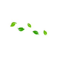 Green flying leaves. Fresh green leaves. Vector illustration