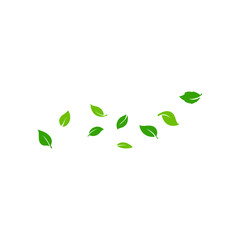 Green flying leaves. Fresh green leaves. Vector illustration