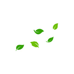 Green flying leaves. Fresh green leaves. Vector illustration