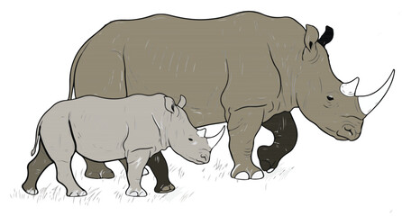 Isolate painting. Mother-and-son rhinoceros are walking in vector form.