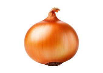 Simple plain, stand-alone Onion isolated on transparent or white background
