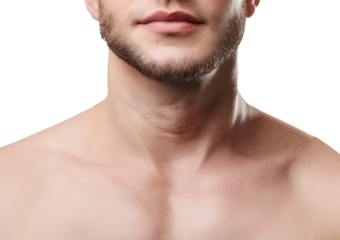 collarbone isolated on transparent or white background