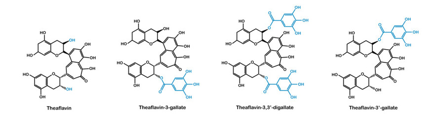 Fototapeta premium Chemical structure of theaflavin gallate