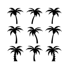 Fototapeta premium vector illustration of palm trees