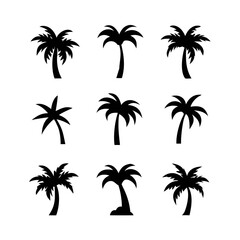 set of palm trees