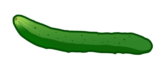 きゅうり　１本