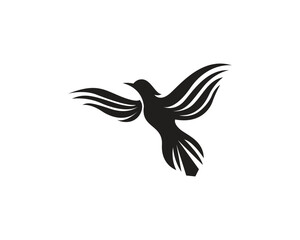 Obraz premium Wings bird sign abstract template icons app