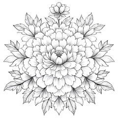 Elegant Monochrome Floral Design: Intricate Peony Outline Artwork & Botanical Illustration for Decorative Gardening and Plant Aesthetics in a Harmonious, Artistic Arrangement
