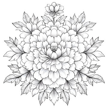 Elegant Monochrome Floral Design: Intricate Peony Outline Artwork & Botanical Illustration for Decorative Gardening and Plant Aesthetics in a Harmonious, Artistic Arrangement